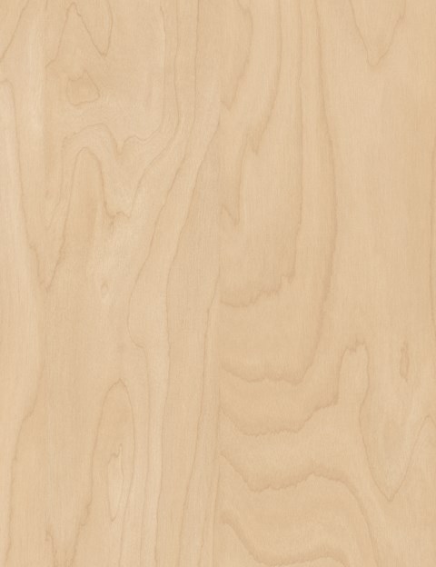 European Birch Rotary Cut