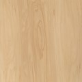 Fijian Kauri Rotary Cut