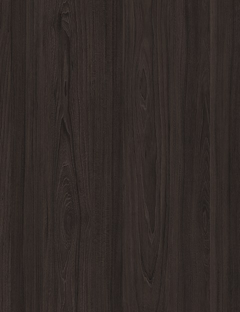 Fiordland Elm