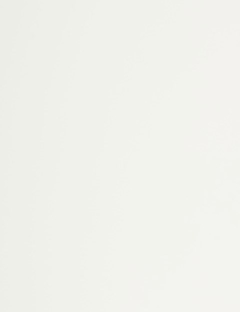 Simply White