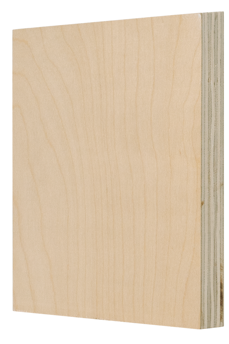 Birch Ply