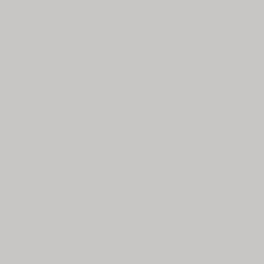 Light Grey - Supermatt.