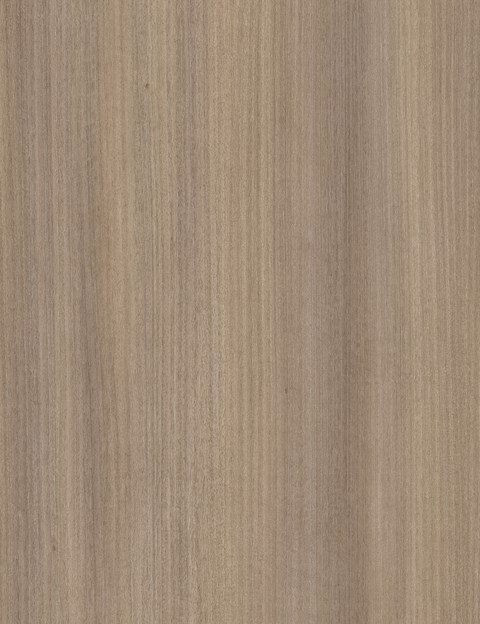 Alberta Larch