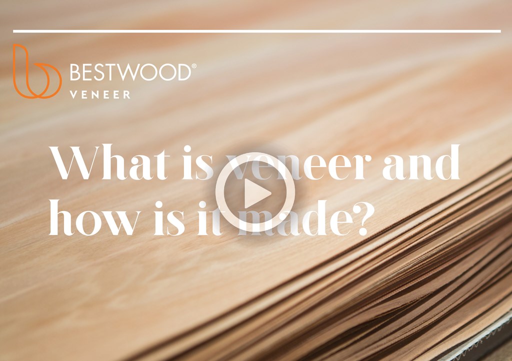 BW What is veneer and how is it made