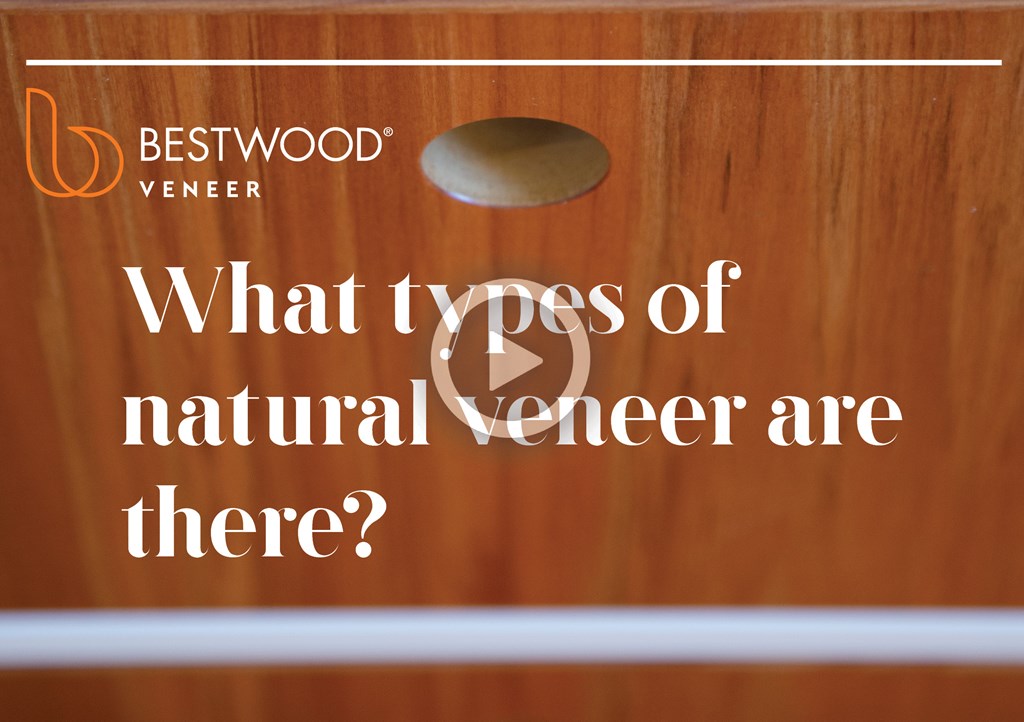 BW What types of veneer are there